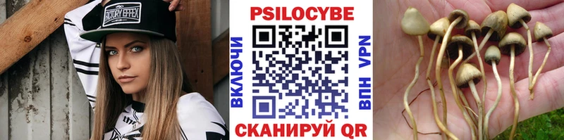 Псилоцибиновые грибы Psilocybe  что такое наркотик  blacksprut ONION  Елец 