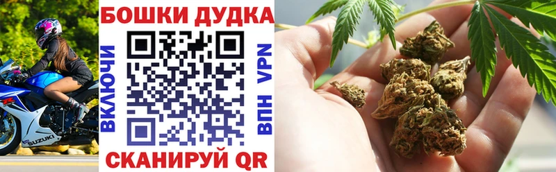 Канабис планчик  блэк спрут вход  Елец 